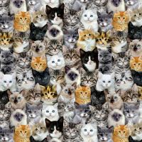 ttCAT-C8417 MULTI